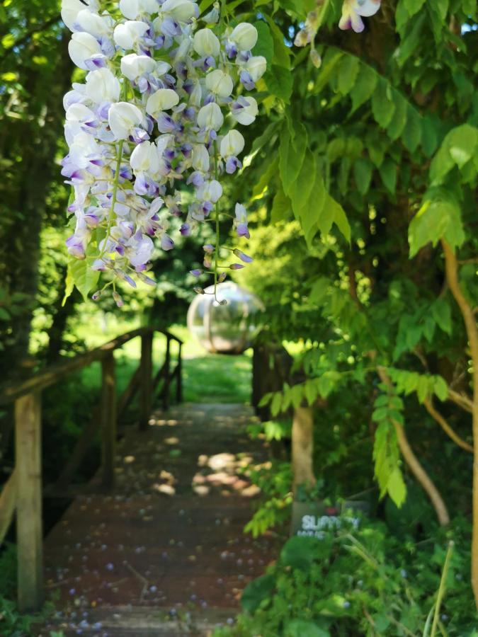 Rose In Vale Country House Hotel Сейнт Агнес Екстериор снимка