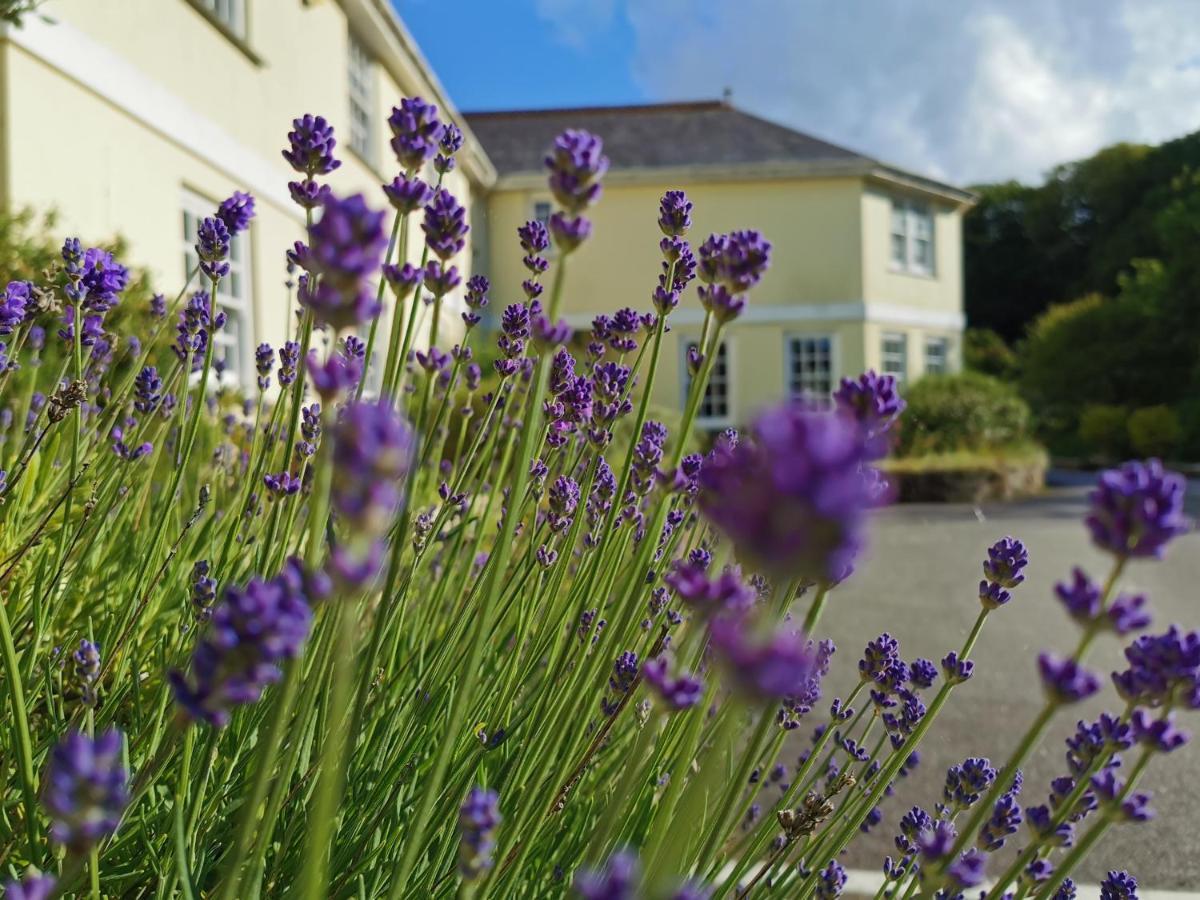 Rose In Vale Country House Hotel Сейнт Агнес Екстериор снимка