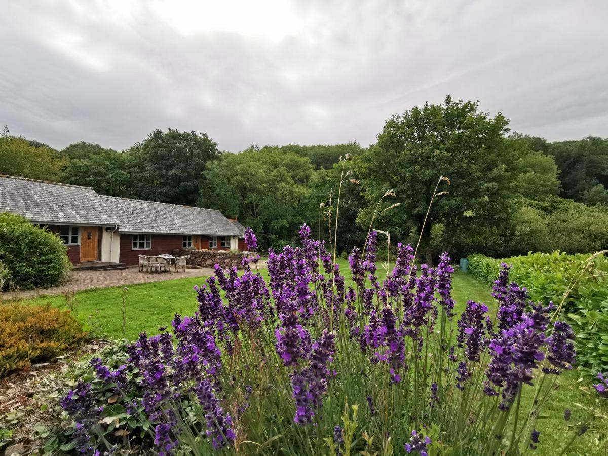 Rose In Vale Country House Hotel Сейнт Агнес Екстериор снимка