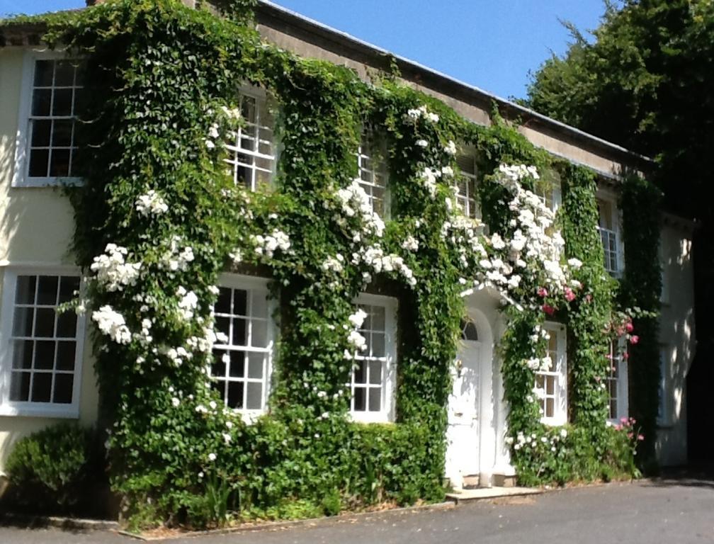 Rose In Vale Country House Hotel Сейнт Агнес Екстериор снимка