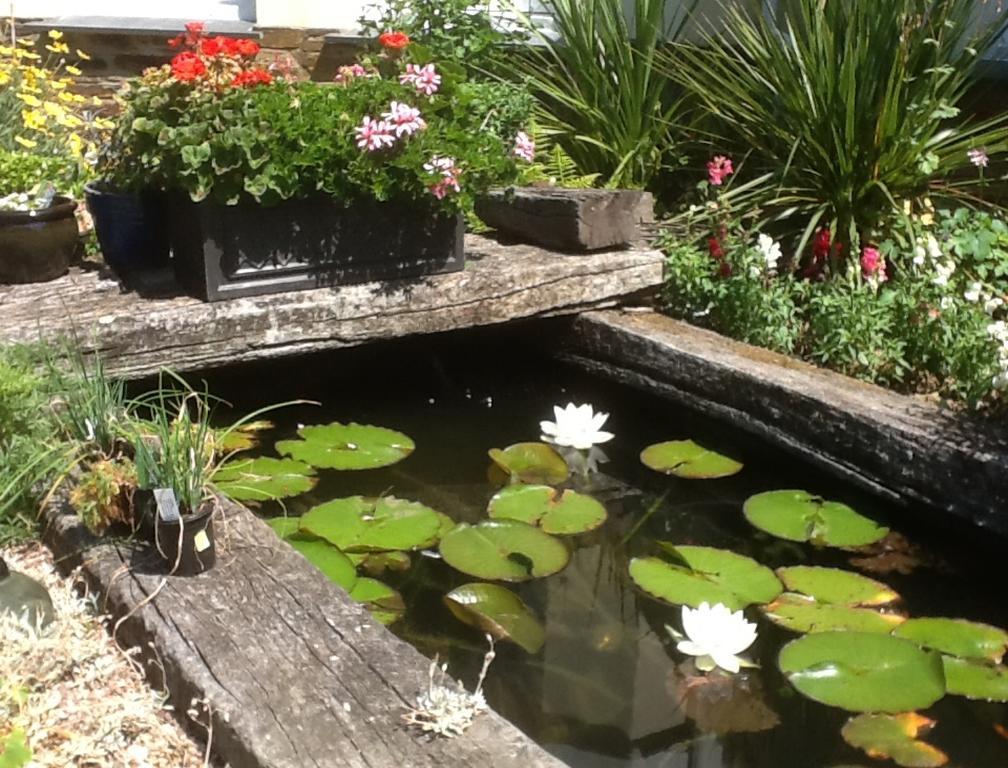 Rose In Vale Country House Hotel Сейнт Агнес Екстериор снимка
