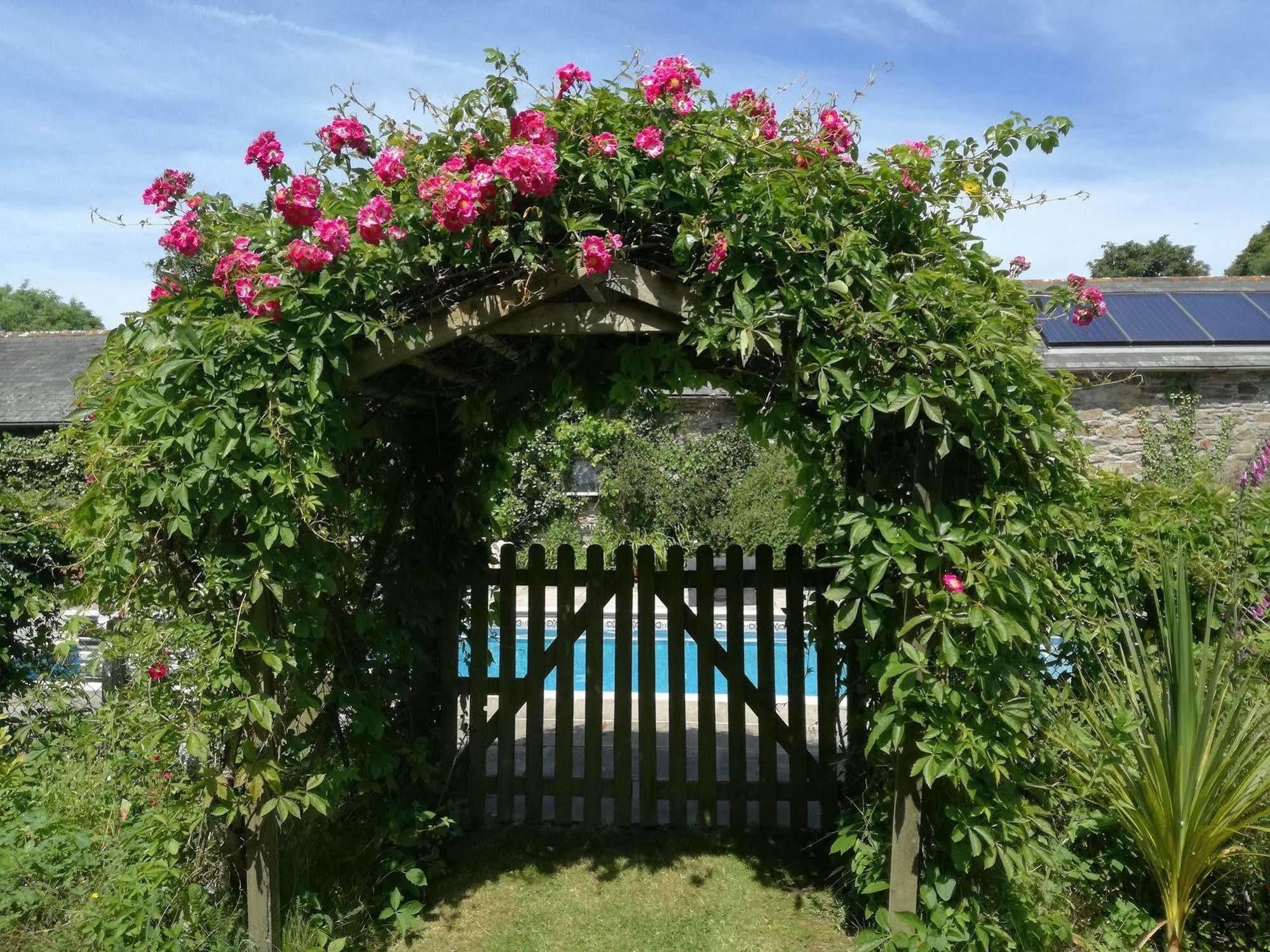 Rose In Vale Country House Hotel Сейнт Агнес Екстериор снимка